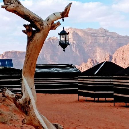 Desert Tree Camp&Tours Wadi Rum Ngoại thất bức ảnh