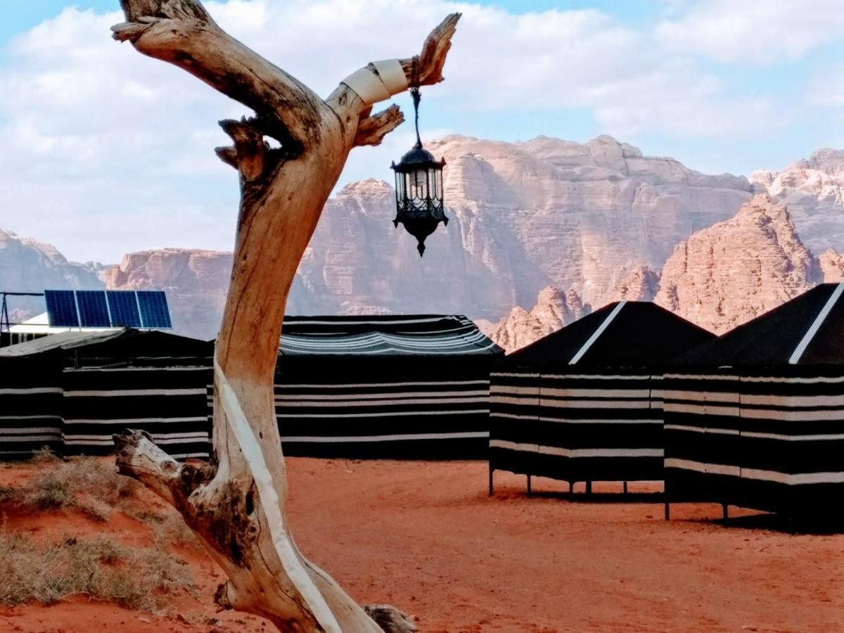 Desert Tree Camp&Tours Wadi Rum Ngoại thất bức ảnh